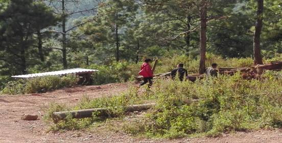 F74A2D21944910B6E8AD5F4334AB1CFD