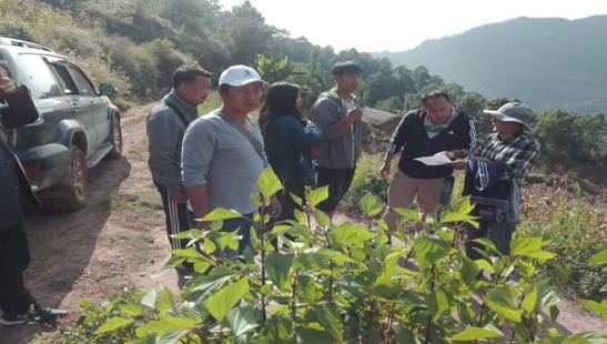 86633FF54301B13F56A98E54DBA9A947